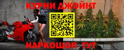 стаф Кимры
