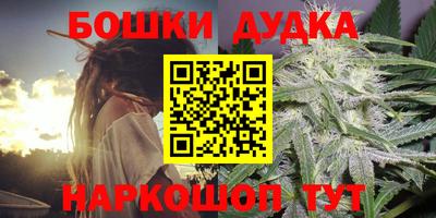 амф Бийск