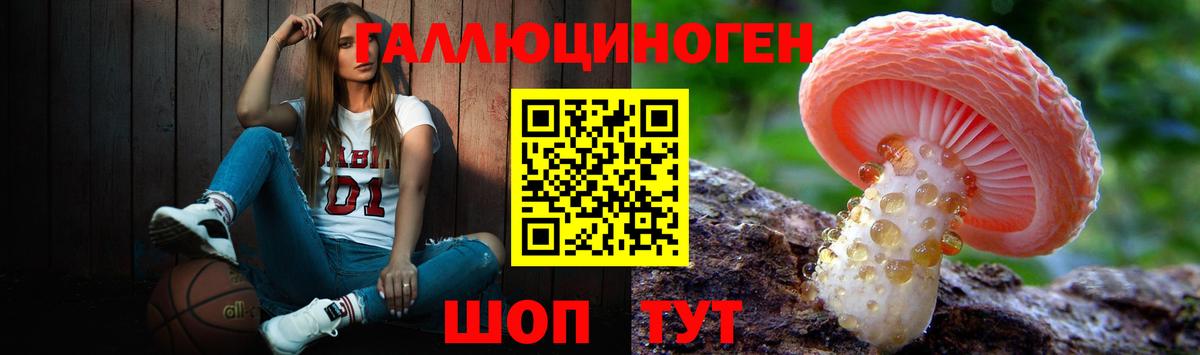 Псилоцибиновые грибы GOLDEN TEACHER Кинель